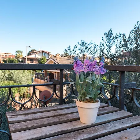 Travelershome Ciampino